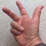 righthand_w.jpg